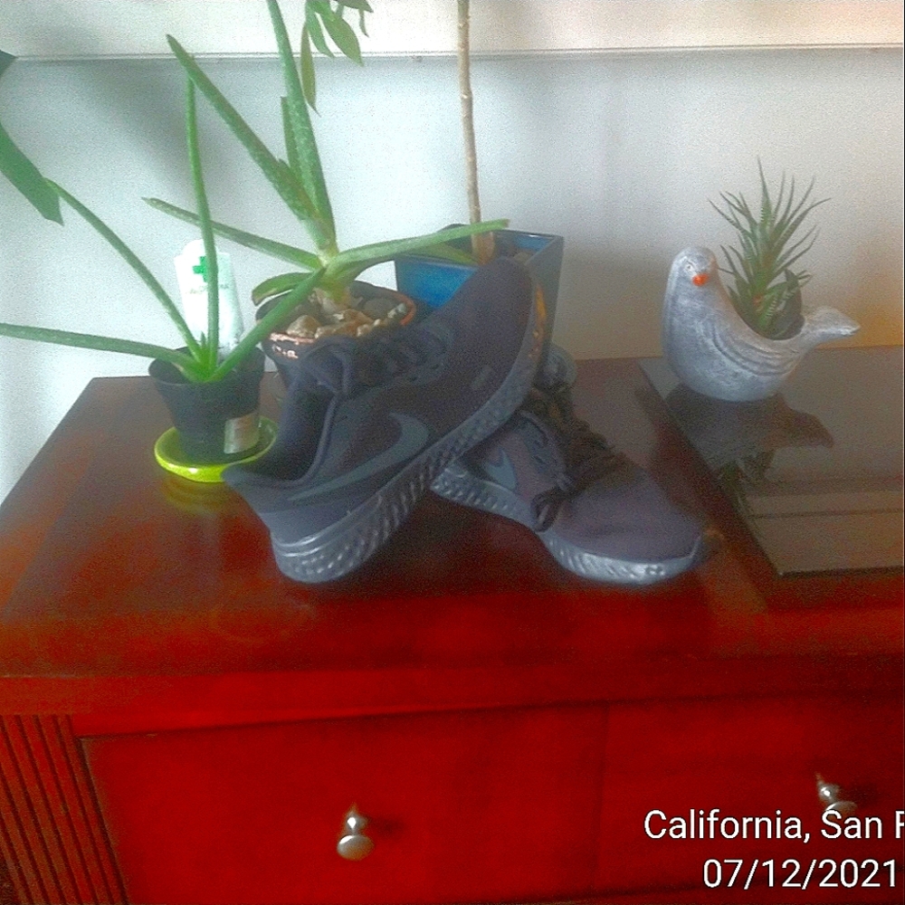 Nike revolution running shoes